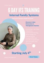 6 day IFS training flyer